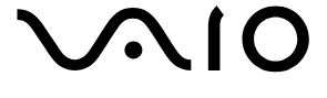 VAIO All Support All Computers